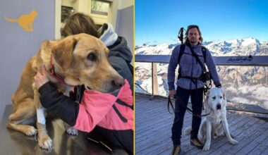 Włochy. Poszukiwania polskiego turysty. Odnaleziono jego psa Pirata