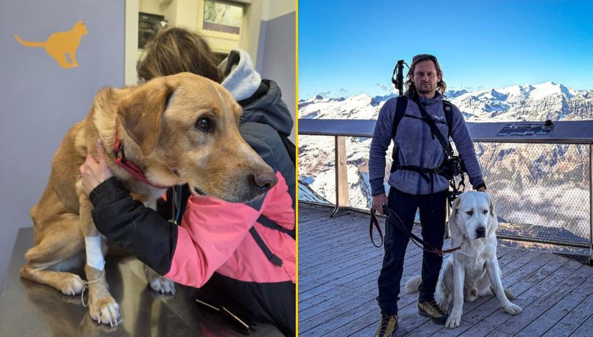 Włochy. Poszukiwania polskiego turysty. Odnaleziono jego psa Pirata