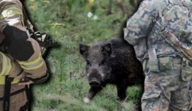 Przejdź na stronę główną INTERIA.PL