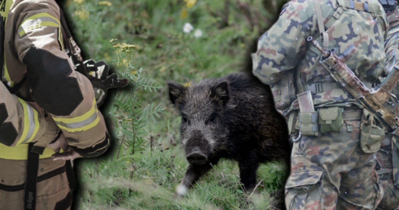Przejdź na stronę główną INTERIA.PL