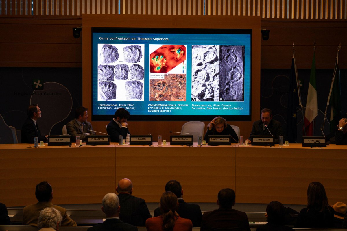 Naukowcy znaleźli tysiące odcisków dinozaurów w sercu Alp