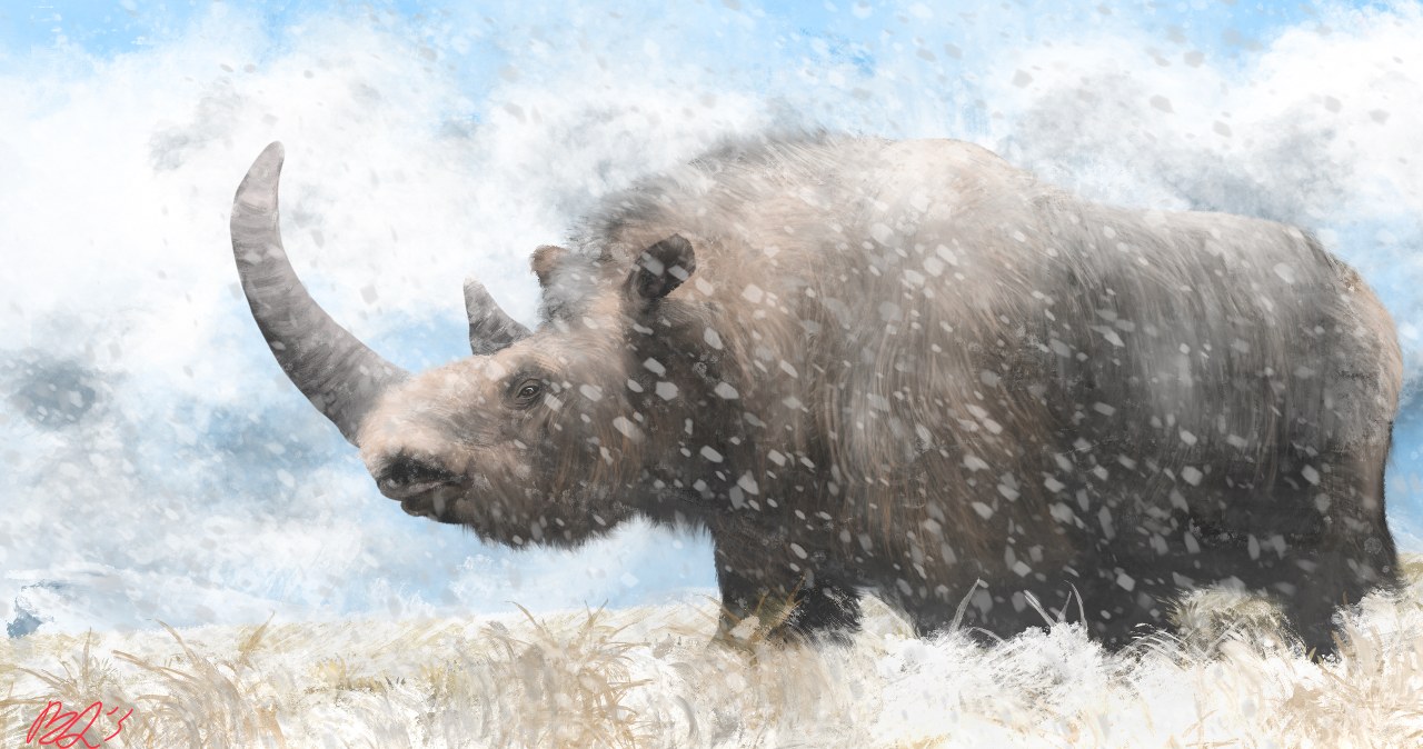 Przejdź na stronę główną INTERIA.PL