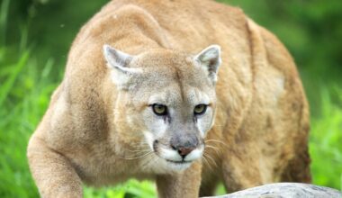 Przejdź na stronę główną INTERIA.PL