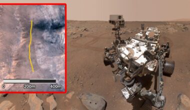 Nowa broń w rękach Ukraińców. Była tajemnicą, a już wsławiła się w boju