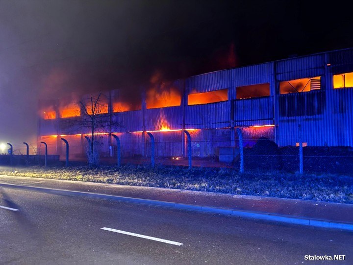 /Fot. Stalowka.NET / Jacek Rodecki /