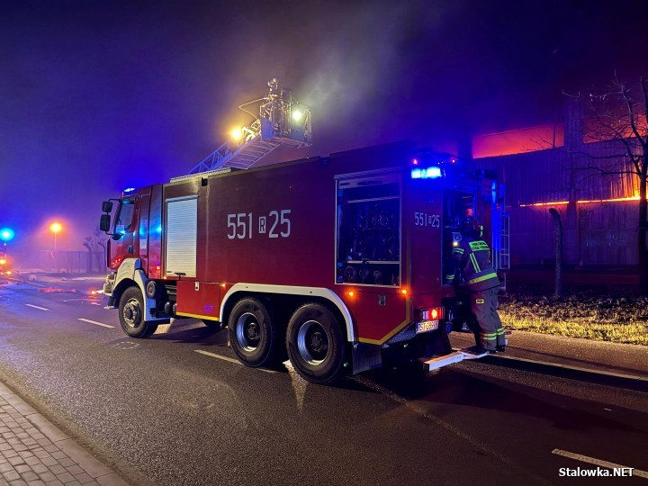 /Fot. Stalowka.NET / Jacek Rodecki /