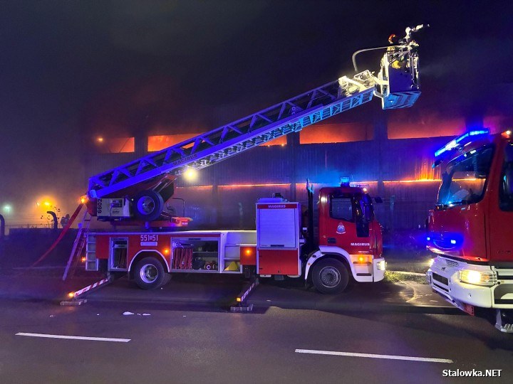 /Fot. Stalowka.NET / Jacek Rodecki /