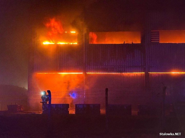 /Fot. Stalowka.NET / Jacek Rodecki /