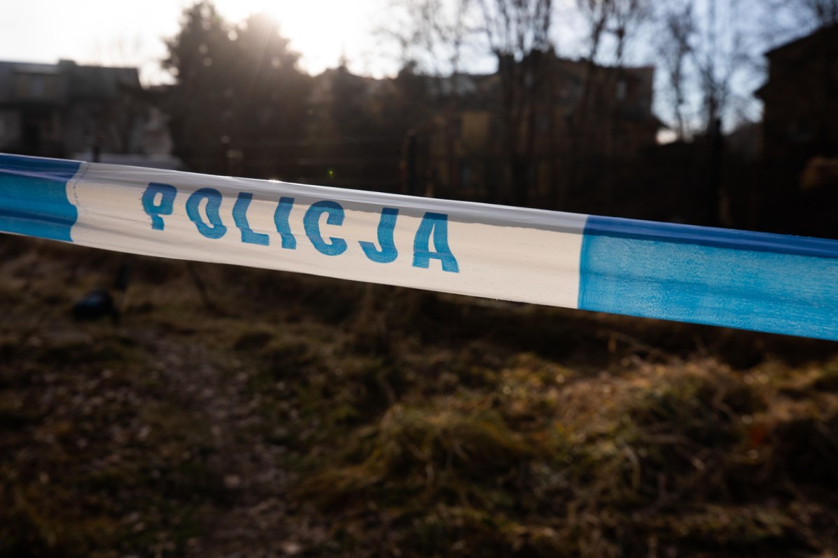 Komunikat ws. 12-latki podejrzanej o zabójstwo 11-latki w Jeleniej Górze - MSWiA: Nie jest Ukrainką