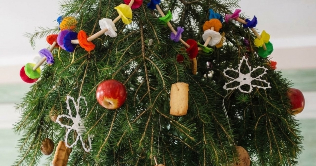 Podłaźniczka /AI-generated /halo tu polsat