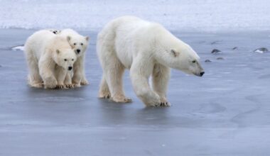 Przejdź na stronę główną INTERIA.PL
