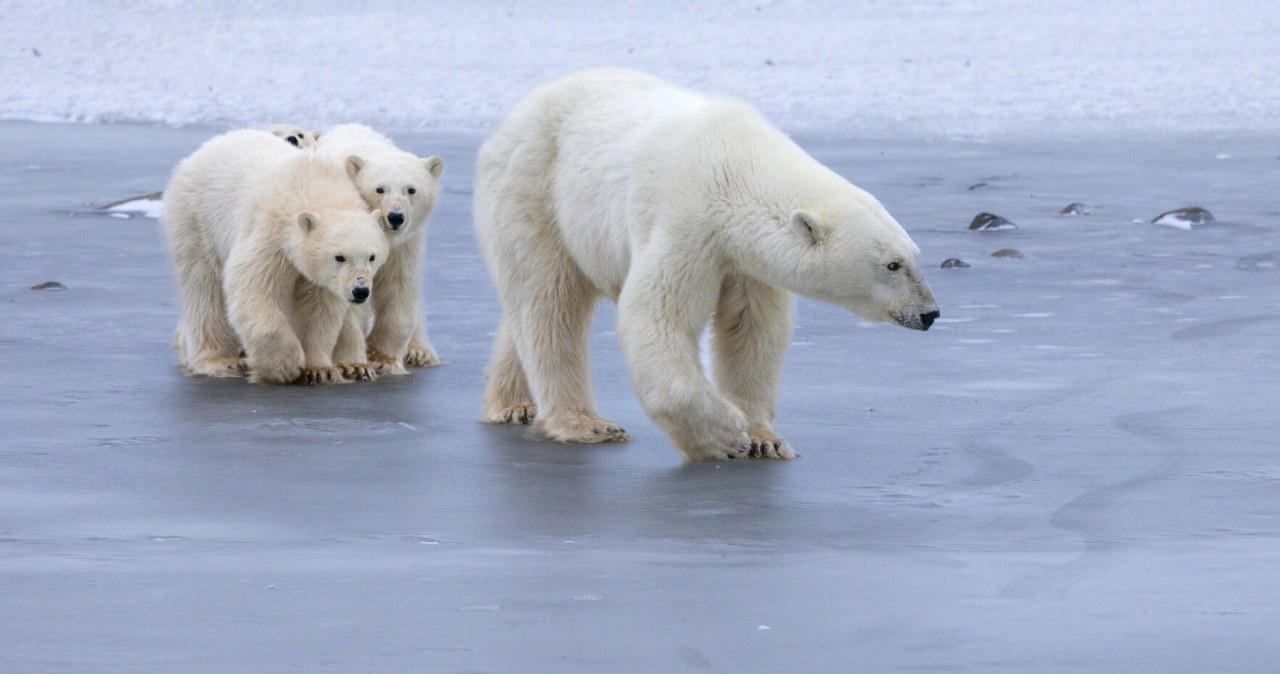 Przejdź na stronę główną INTERIA.PL