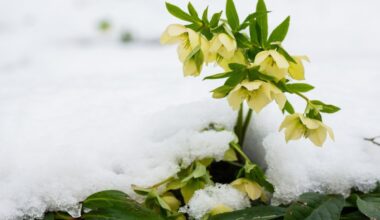 Już dziś pierwszy dzień zimy. To najkrótszy dzień w roku