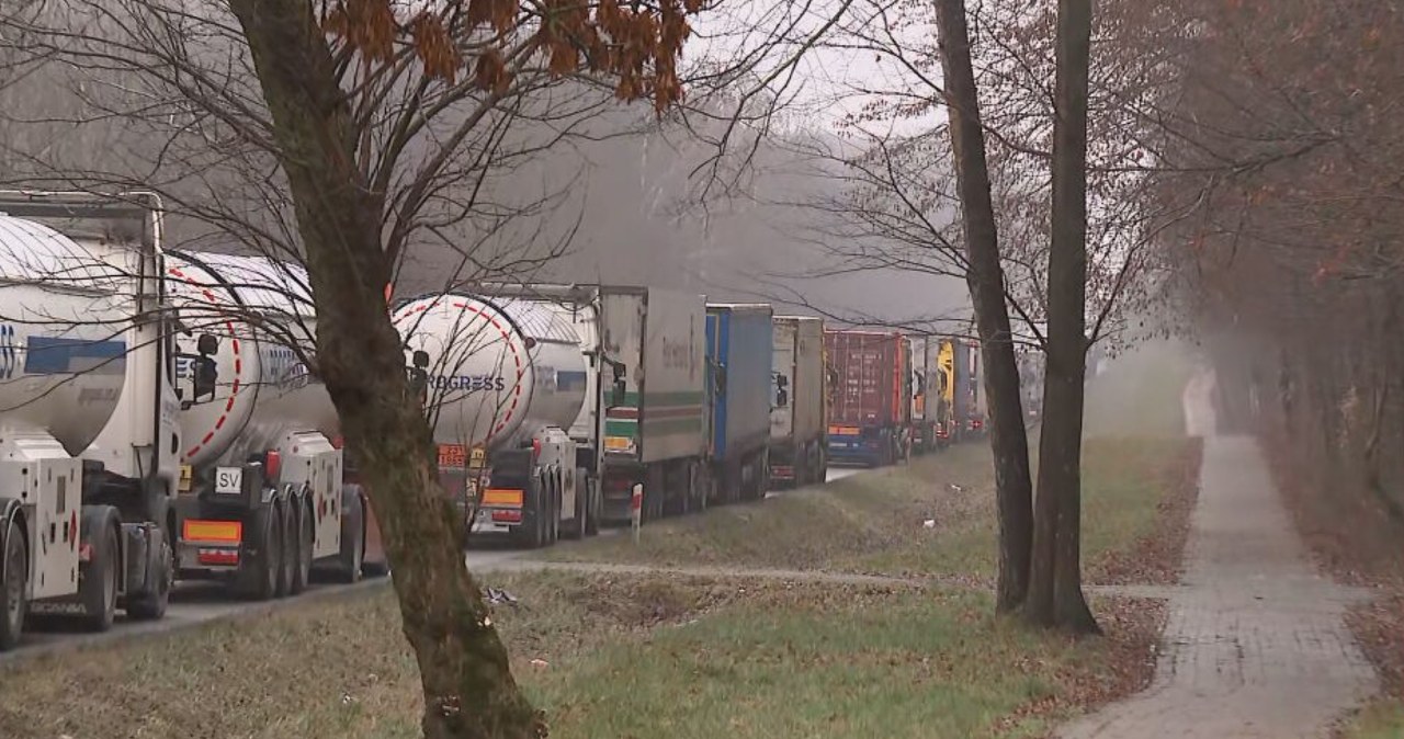 Przejdź na stronę główną INTERIA.PL