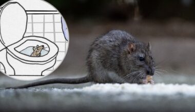 Przejdź na stronę główną INTERIA.PL