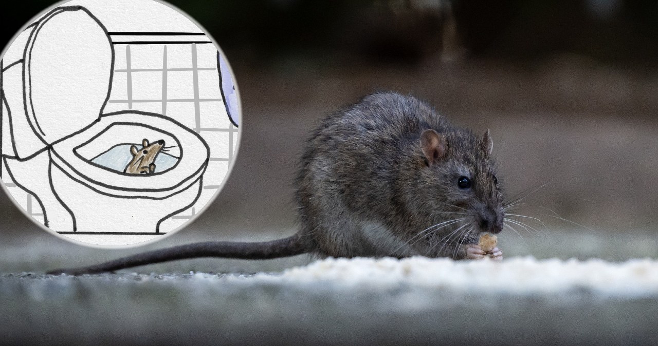 Przejdź na stronę główną INTERIA.PL