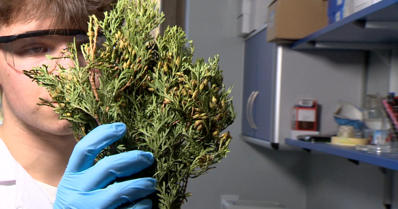 Przejdź na stronę główną INTERIA.PL