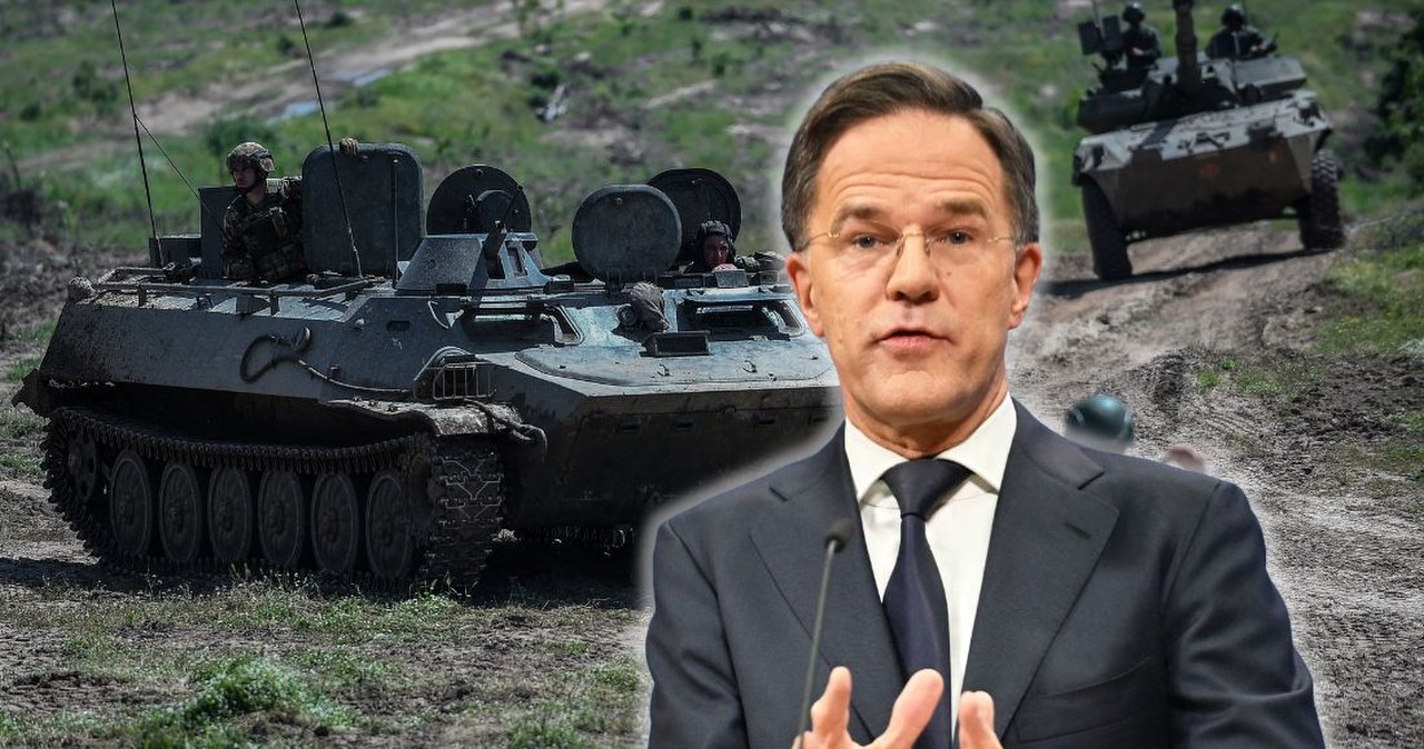 Przejdź na stronę główną INTERIA.PL