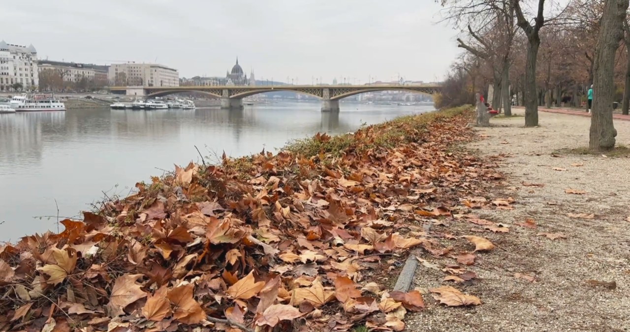 Przejdź na stronę główną INTERIA.PL
