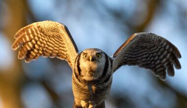 Przejdź na stronę główną INTERIA.PL
