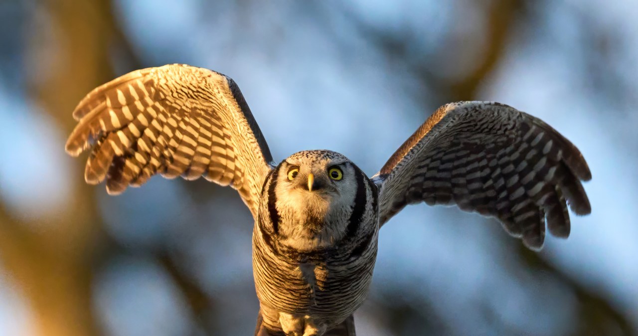 Przejdź na stronę główną INTERIA.PL