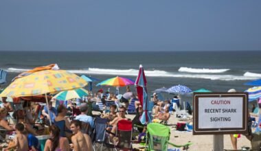 Przejdź na stronę główną INTERIA.PL