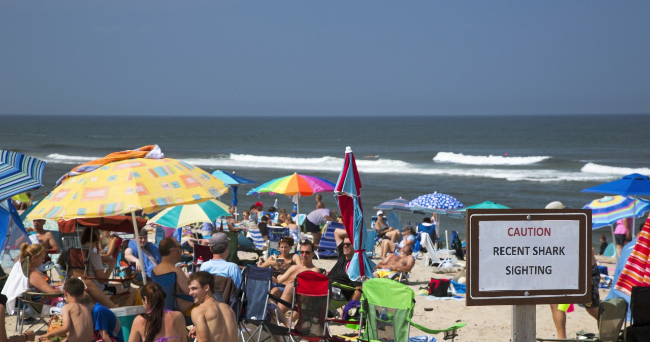 Przejdź na stronę główną INTERIA.PL