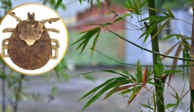 Przejdź na stronę główną INTERIA.PL