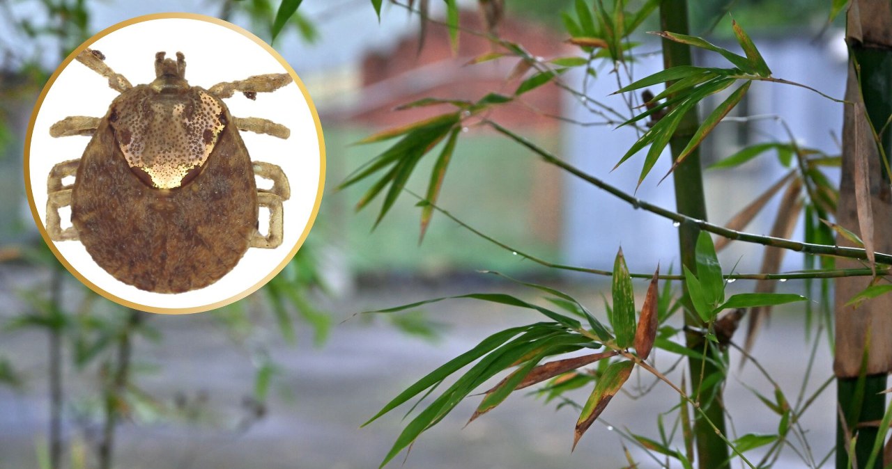 Przejdź na stronę główną INTERIA.PL