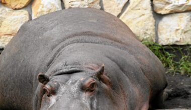 Przejdź na stronę główną INTERIA.PL