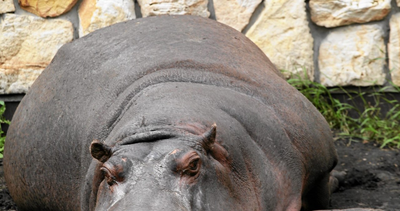 Przejdź na stronę główną INTERIA.PL