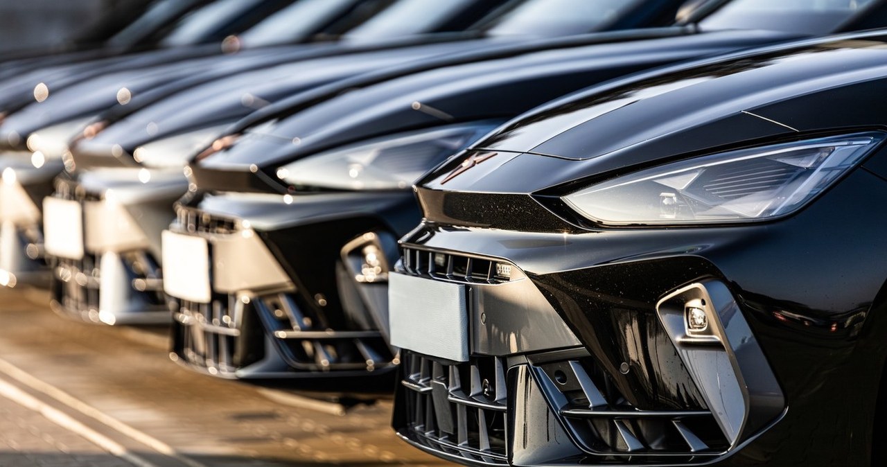 Przejdź na stronę główną INTERIA.PL