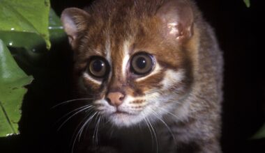 Przejdź na stronę główną INTERIA.PL