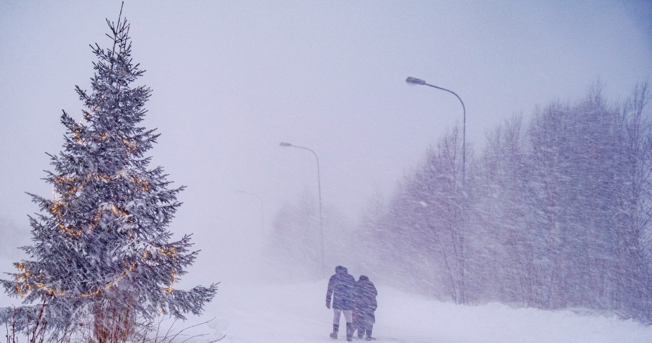 Przejdź na stronę główną INTERIA.PL