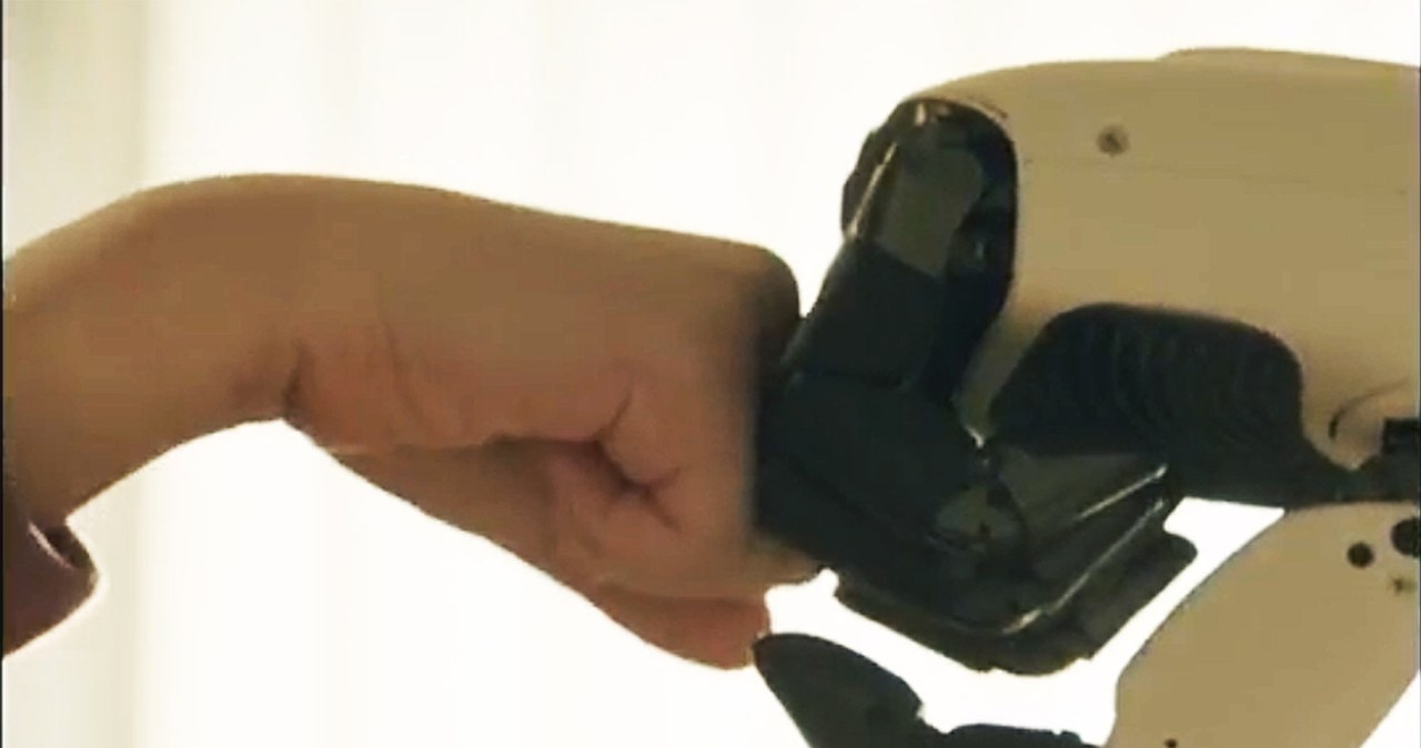 Dlaczego jest tyle rodzajów oczu? Odkrycie w symulatorze ewolucji