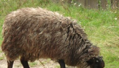 Przejdź na stronę główną INTERIA.PL