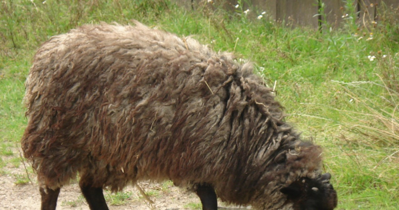 Przejdź na stronę główną INTERIA.PL