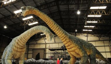 Przejdź na stronę główną INTERIA.PL