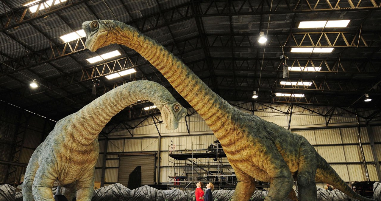 Przejdź na stronę główną INTERIA.PL