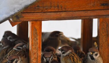 Przejdź na stronę główną INTERIA.PL