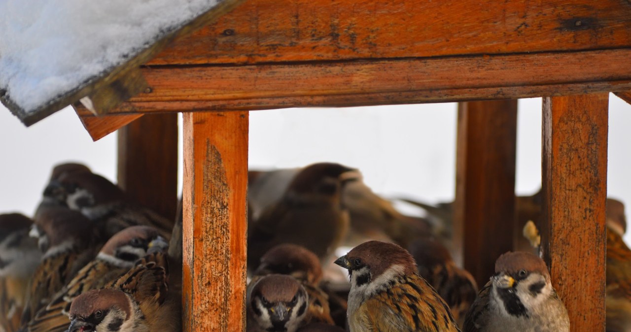 Przejdź na stronę główną INTERIA.PL