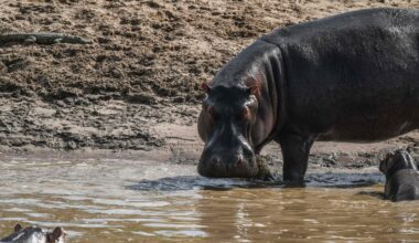 Przejdź na stronę główną INTERIA.PL