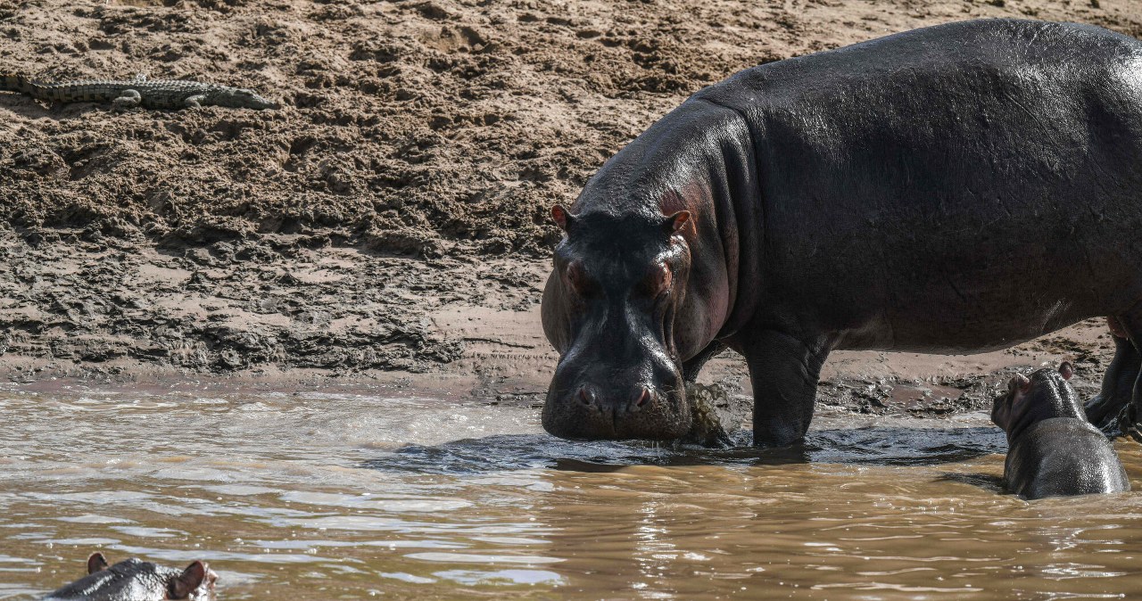 Przejdź na stronę główną INTERIA.PL