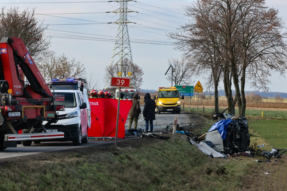 Wypadek w Zielęcicach k. Brzegu. Wiemy, kim są ofiary