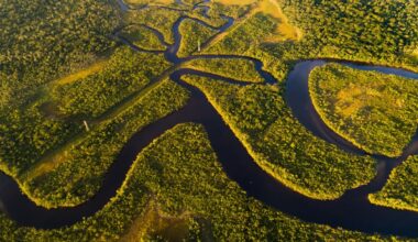Amazonia na krawędzi: Naukowcy ostrzegają przed „hipertropikalnym” piekłem nieznanym od milionów lat