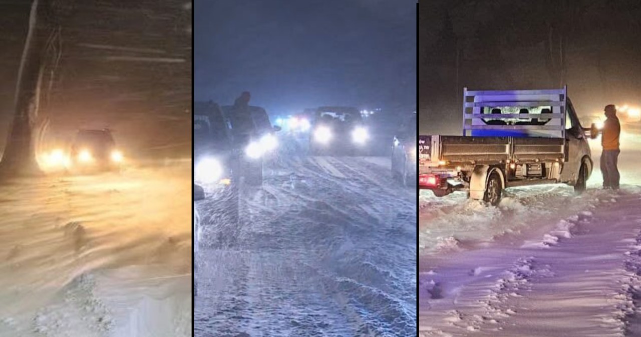 Przejdź na stronę główną INTERIA.PL