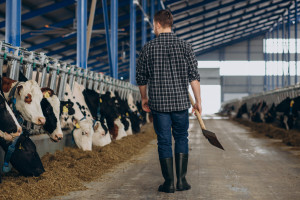 Minimum 1409 lub 1879 zł na konto dla tej grupy. Wypłaty co miesiąc