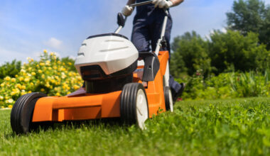 Od nowego roku nie będzie już można rekrutować "pana do koszenia trawnika"