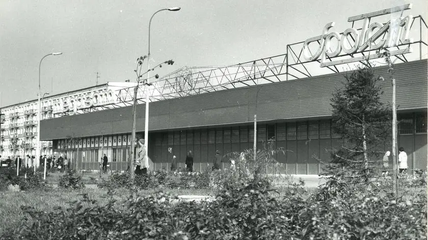 Logo strona główna