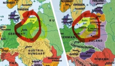 Logo strona główna